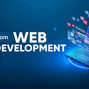 Custom website development